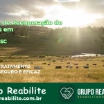 🚨 Clínica de Recuperação de Drogas em Penha - SC