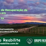 🚨 Clínica de Recuperação de Drogas em Piçarra - PA