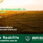 🚨 Clínica de Recuperação de Drogas em Picos - PI