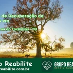 🚨 Clínica de Recuperação de Drogas em Pindorama do Tocantins - TO