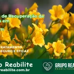 🚨 Clínica de Recuperação de Drogas em Piripiri - PI