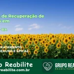 🚨 Clínica de Recuperação de Drogas em Piritiba - BA