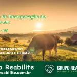 🚨 Clínica de Recuperação de Drogas em Pitanga - PR