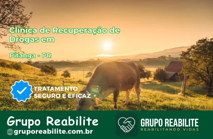 🚨 Clínica de Recuperação de Drogas em Pitanga - PR