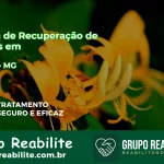 🚨 Clínica de Recuperação de Drogas em Piumhi - MG