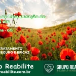 🚨 Clínica de Recuperação de Drogas em Planaltina - GO