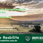 🚨 Clínica de Recuperação de Drogas em Poço Redondo - SE