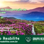 🚨 Clínica de Recuperação de Drogas em Pongaí - SP