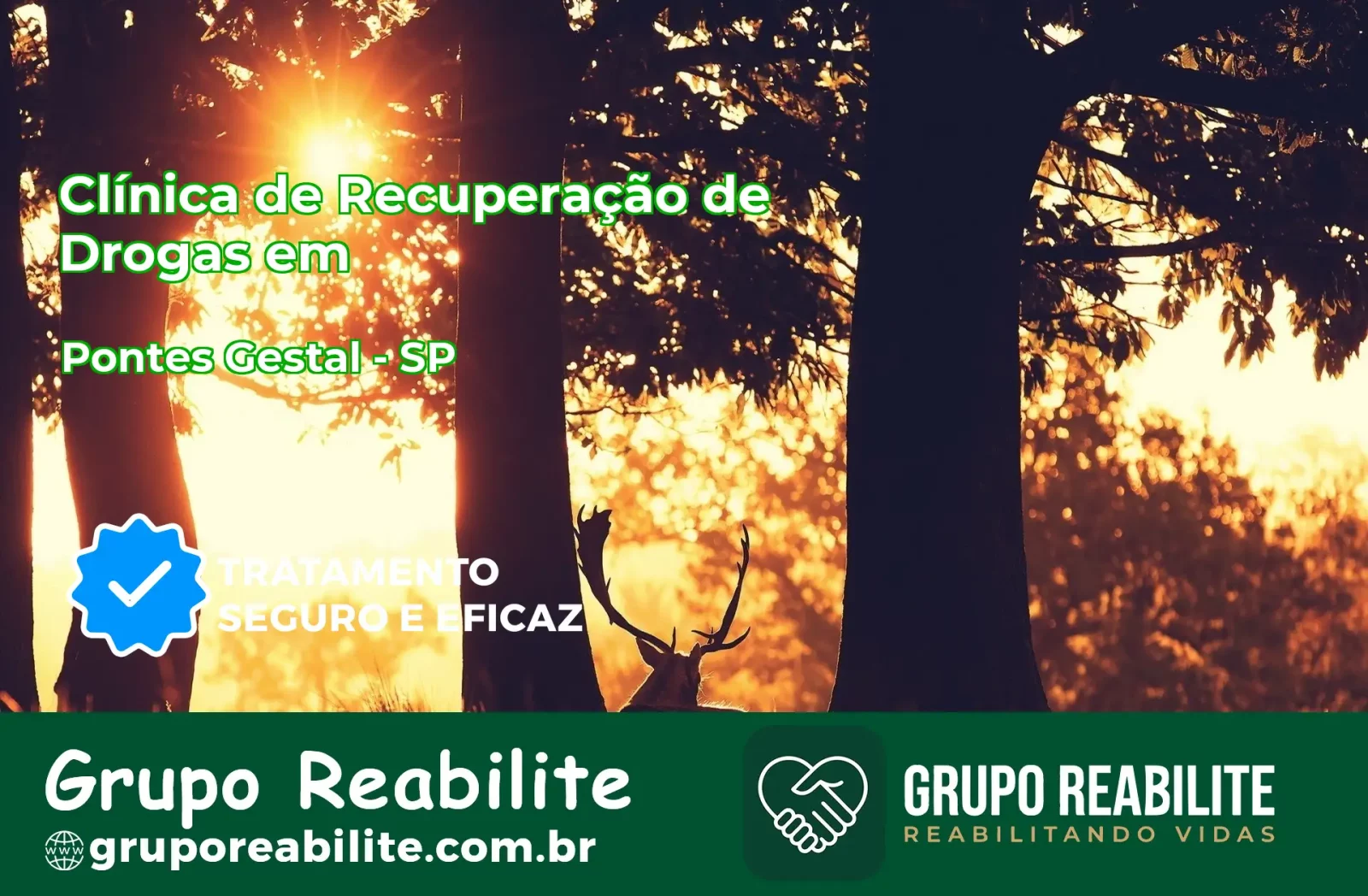 🚨 Clínica de Recuperação de Drogas em Pontes Gestal - SP