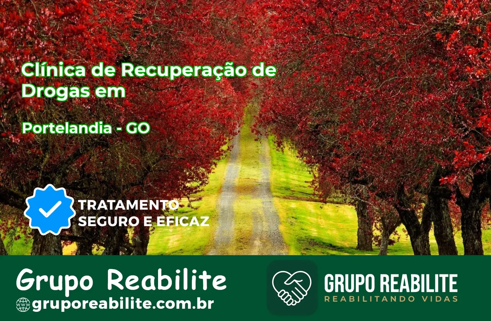 🚨 Clínica de Recuperação de Drogas em Portelândia - GO