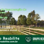🚨 Clínica de Recuperação de Drogas em Porto Feliz - SP