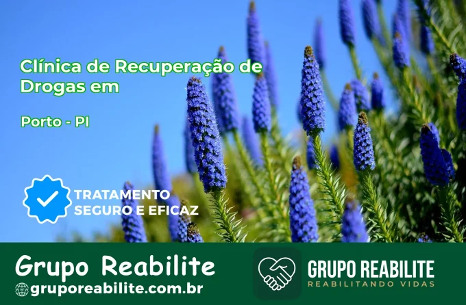 🚨 Clínica de Recuperação de Drogas em Porto - PI