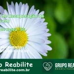 🚨 Clínica de Recuperação de Drogas em Presidente Nereu - SC