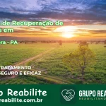 🚨 Clínica de Recuperação de Drogas em Primavera - PA