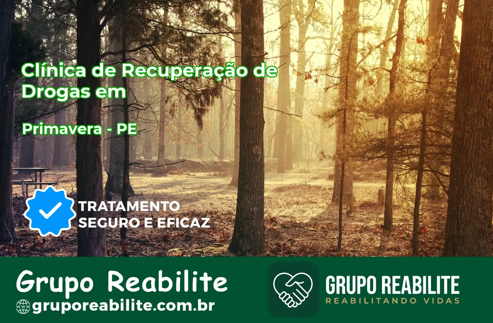 🚨 Clínica de Recuperação de Drogas em Primavera - PE