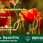 🚨 Clínica de Recuperação de Drogas em Primeira Cruz - MA