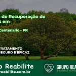 🚨 Clínica de Recuperação de Drogas em Quarto Centenário - PR