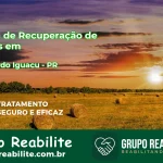 🚨 Clínica de Recuperação de Drogas em Quedas do Iguaçu - PR