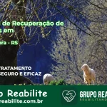 🚨 Clínica de Recuperação de Drogas em Redentora - RS