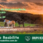 🚨 Clínica de Recuperação de Drogas em Restinga - SP