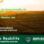 🚨 Clínica de Recuperação de Drogas em Ribamar Fiquene - MA