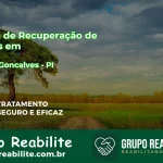 🚨 Clínica de Recuperação de Drogas em Ribeiro Gonçalves - PI