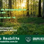 🚨 Clínica de Recuperação de Drogas em Rio Branco do Ivaí - PR