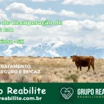 🚨 Clínica de Recuperação de Drogas em Rio Negrinho - SC
