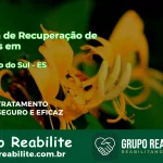 🚨 Clínica de Recuperação de Drogas em Rio Novo do Sul - ES