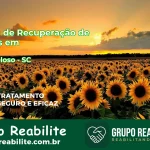 🚨 Clínica de Recuperação de Drogas em Salto Veloso - SC