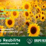 🚨 Clínica de Recuperação de Drogas em Santa Adélia - SP