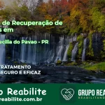 🚨 Clínica de Recuperação de Drogas em Santa Cecília do Pavão - PR