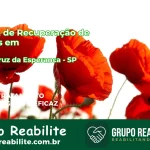 🚨 Clínica de Recuperação de Drogas em Santa Cruz da Esperança - SP