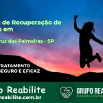 🚨 Clínica de Recuperação de Drogas em Santa Cruz das Palmeiras - SP