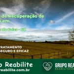🚨 Clínica de Recuperação de Drogas em Santa Fé de Goiás - GO