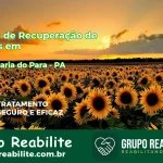 🚨 Clínica de Recuperação de Drogas em Santa Maria do Pará - PA