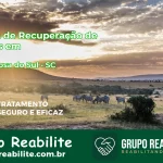 🚨 Clínica de Recuperação de Drogas em Santa Rosa do Sul - SC