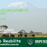 🚨 Clínica de Recuperação de Drogas em Santaluz - BA