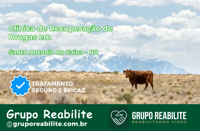 🚨 Clínica de Recuperação de Drogas em Santa Tereza do Oeste - PR