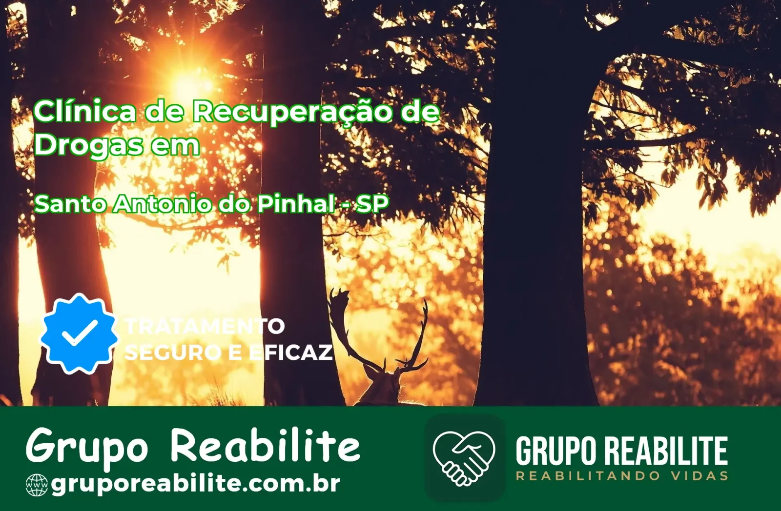 🚨 Clínica de Recuperação de Drogas em Santo Antônio do Pinhal - SP