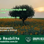 🚨 Clínica de Recuperação de Drogas em Santo Expedito do Sul - RS
