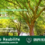 🚨 Clínica de Recuperação de Drogas em São Bento do Sul - SC