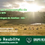 🚨 Clínica de Recuperação de Drogas em São Domingos do Azeitão - MA