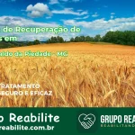 🚨 Clínica de Recuperação de Drogas em São Geraldo da Piedade - MG