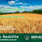 🚨 Clínica de Recuperação de Drogas em São Gonçalo do Rio Abaixo - MG