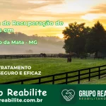 🚨 Clínica de Recuperação de Drogas em São João da Mata - MG