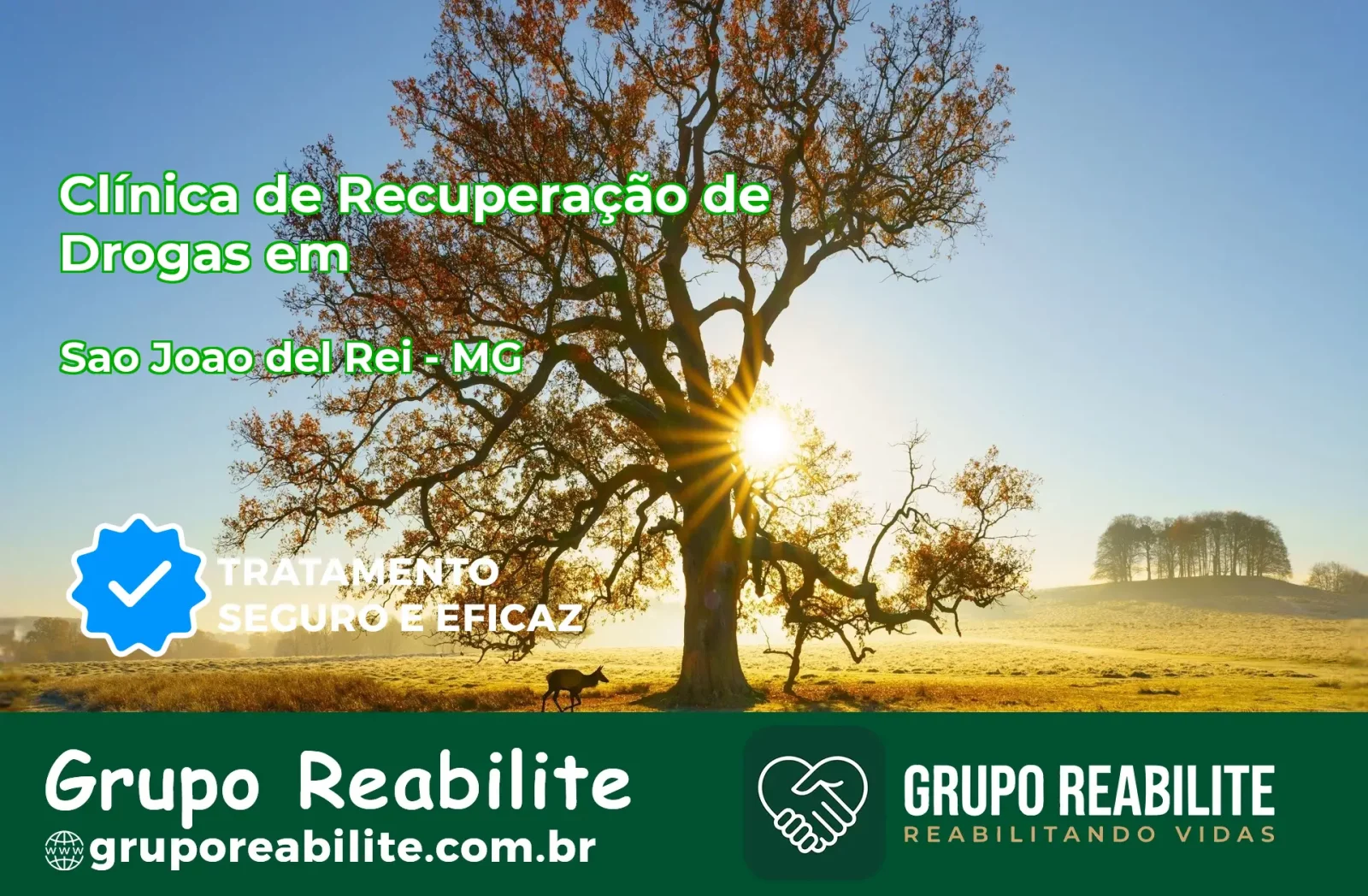 🚨 Clínica de Recuperação de Drogas em São João del Rei - MG