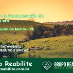 🚨 Clínica de Recuperação de Drogas em São Joaquim do Monte - PE