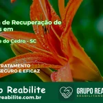 🚨 Clínica de Recuperação de Drogas em São José do Cedro - SC
