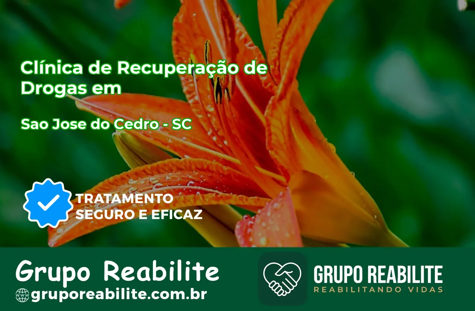 🚨 Clínica de Recuperação de Drogas em São José do Cedro - SC